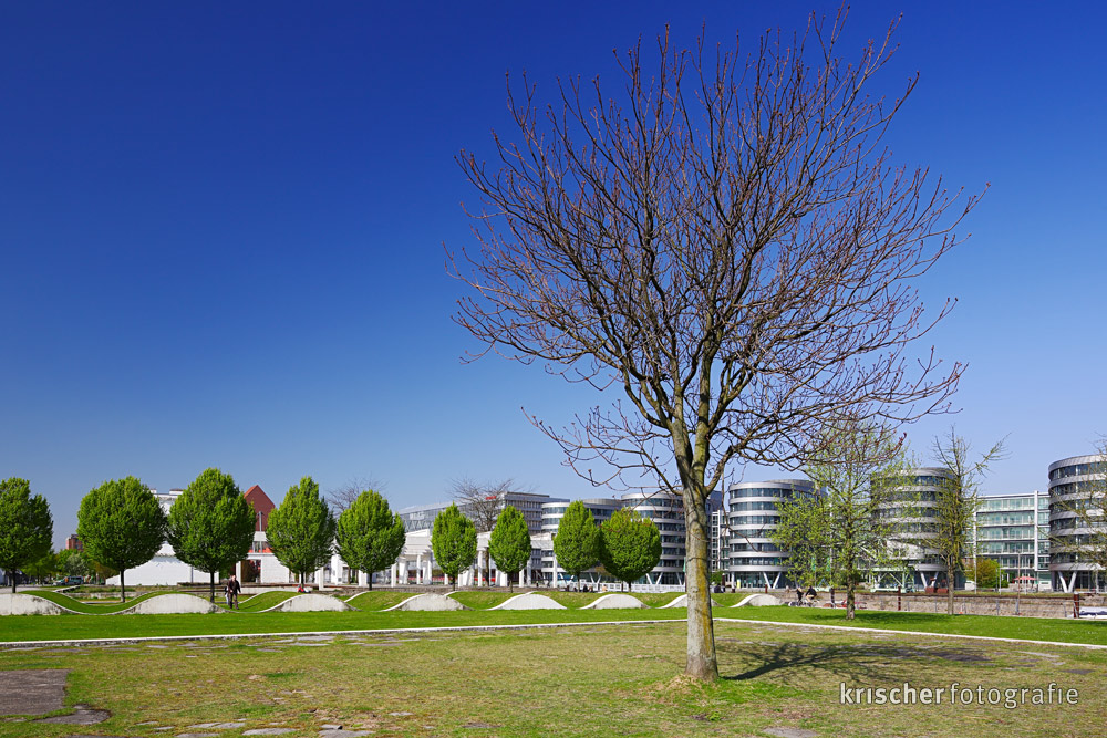 Garten der Erinnerung