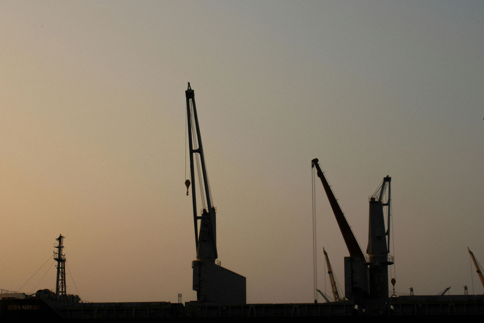 Krähne Sonnenuntergang