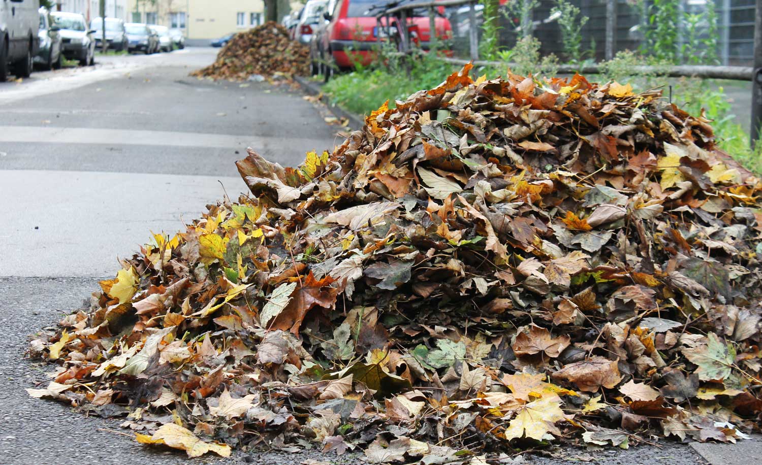 Laubsammlung